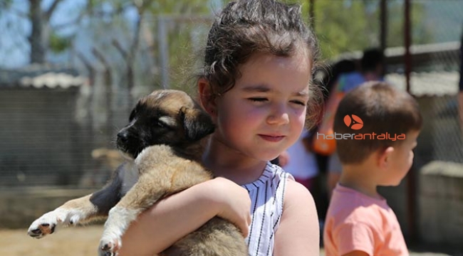 Minikler yavru köpeği paylaşamadı