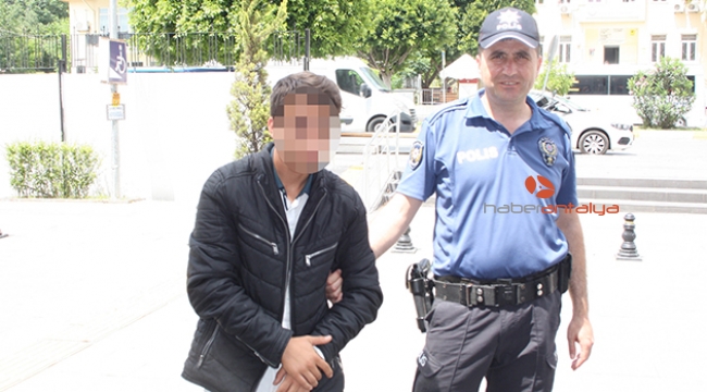 Zeytinyağı hırsızına bekçilerden suçüstü