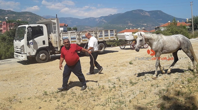 Alanya'da fayton faaliyeti sona erdi 
