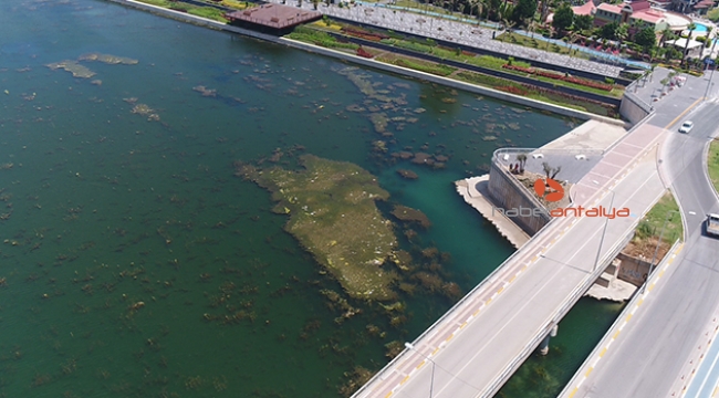 Boğaçayı'nda yosun ve rüsubat temizliği