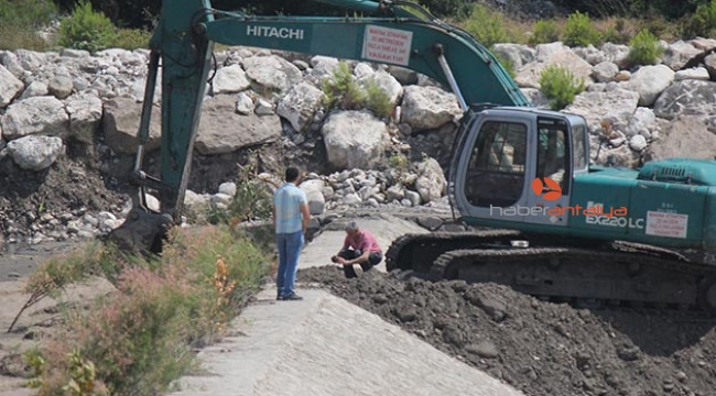 Buse'nin aranmasına yeniden başlandı