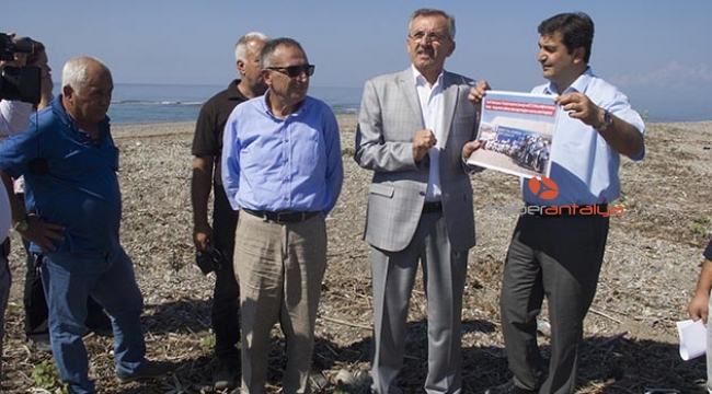 Caretta carettalar için havai fişek yasağı
