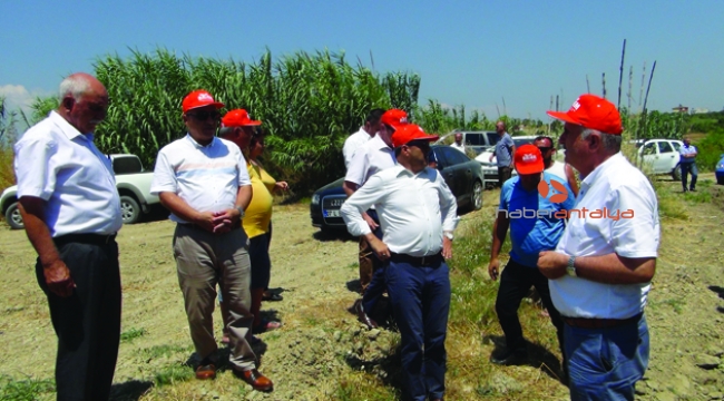 "Savaşçı böcekler" bahçelerde !