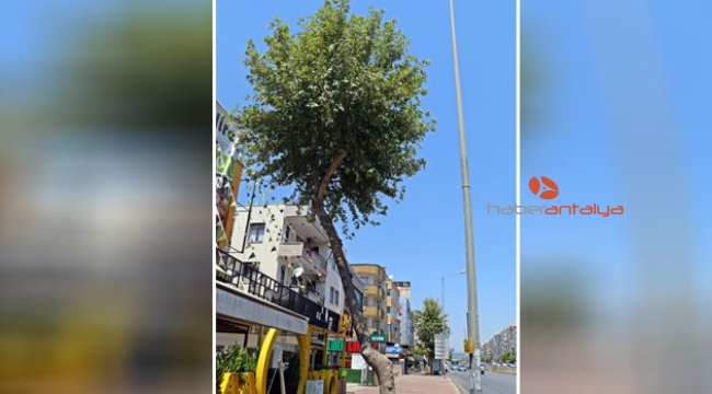 Asit döküldü iddiası !