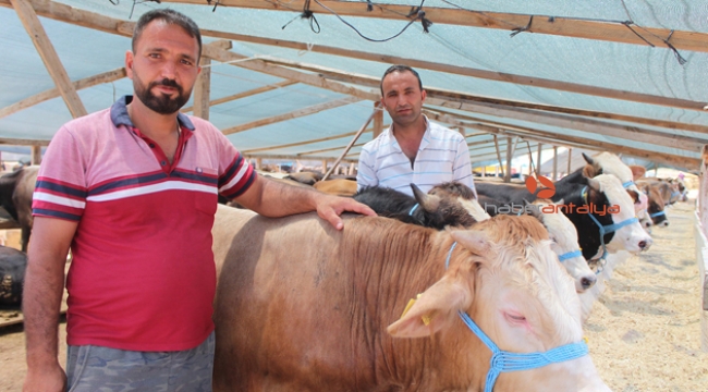 Besici kardeşlerin buruk sevinci