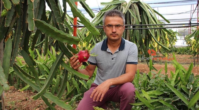 Çiftçinin yeni geçim kaynağı!
