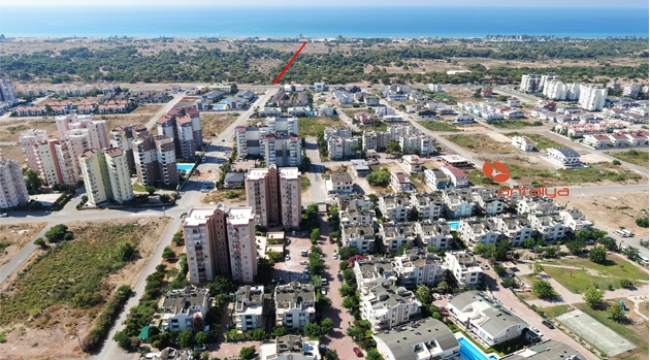 Deniz için  tepeleri aşıyorlar