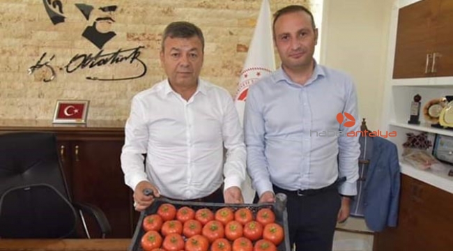 "Gelin Kardeş Olalım" projesi 