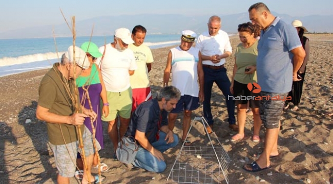 Gönüllü çevreciler caretta nöbetine başladı