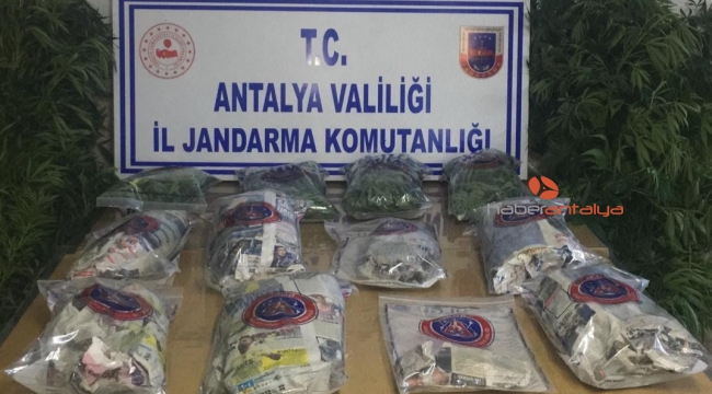 Jandarmadan uyuşturucu operasyonu!