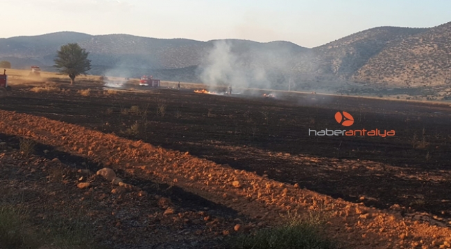 Kargalar 200 dekarlık anız ve ekin yangınına sebep oldu