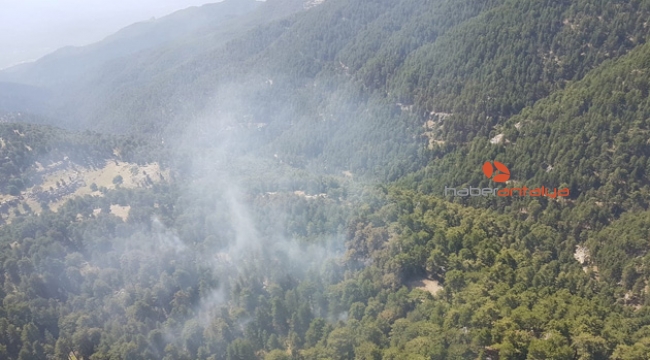 Orman yangını!
