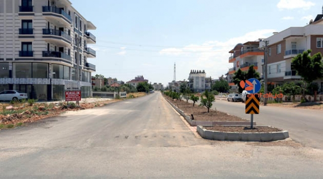 Portakallı cadde 
