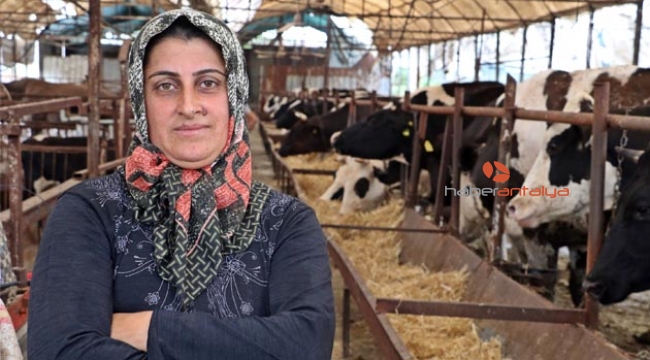 Servetine servet kattı