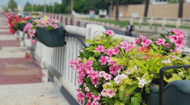 Antalya çiçeklerle donatıldı