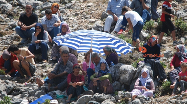 ANTALYA'DA 41 BOĞA GÜREŞ TUTTU
