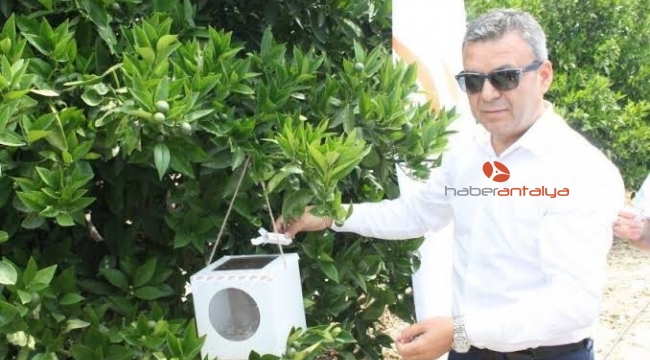 Antalya'da biyolojik mücadele için 8 bin 607 tuzak dağıtıldı