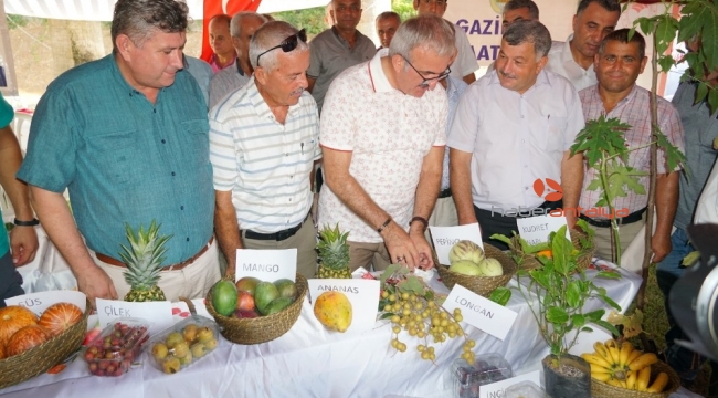 Antalya'da ilk Tropikal Meyve Hasat Şenliği