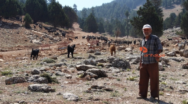 Büyükşehir, Geçmen yaylasına yeni yol açıyor