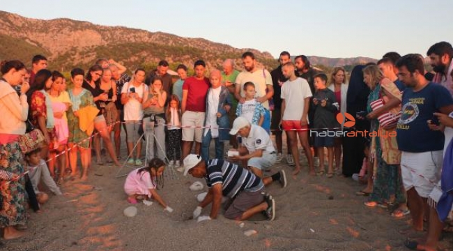 Çıralı Plajı gündüz insanların, gece Caretta'ların