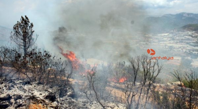 Gazipaşa'daki yangında 10 dekar makilik alan zarar gördü
