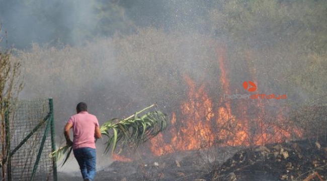 Idyros Antik Kenti'nde yangın korkuttu