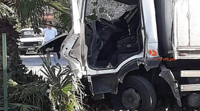 Serik'te kamyon refüjdeki ağaca çarptı