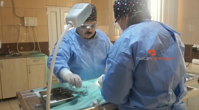Kepez Belediyesi , sokak hayvanlarını sokakta bırakmıyor