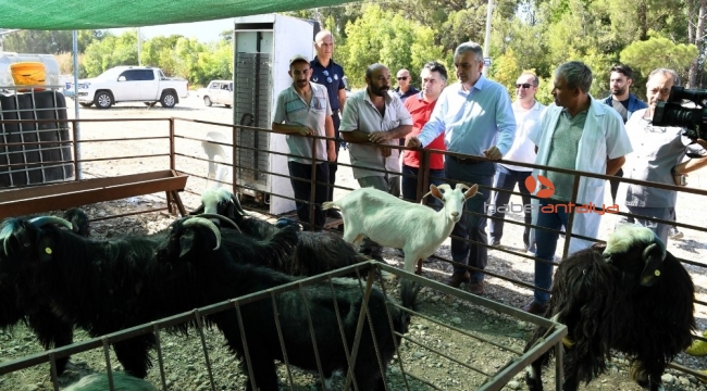 Konyaaltı'nda Kurban Bayramı hazırlıkları tamam