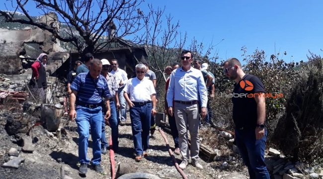 Manavgat'taki orman yangınında yaralar sarılmaya başladı