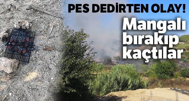 Mangal yaparken yangın çıkardılar