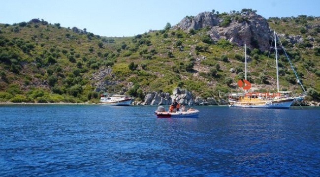 Marmaris'te adaya terk edilen eşek, bulunamadı