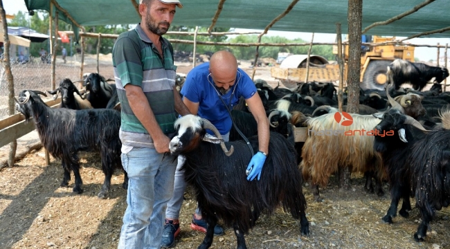 Muratpaşa'da bayram hazırlıkları tamamlandı