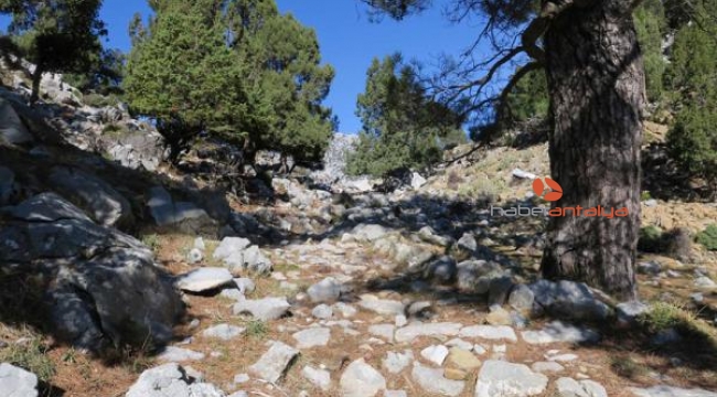 Tarihi kervan yolu turizme kazandırılacak