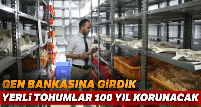Tohumların kozmik odası