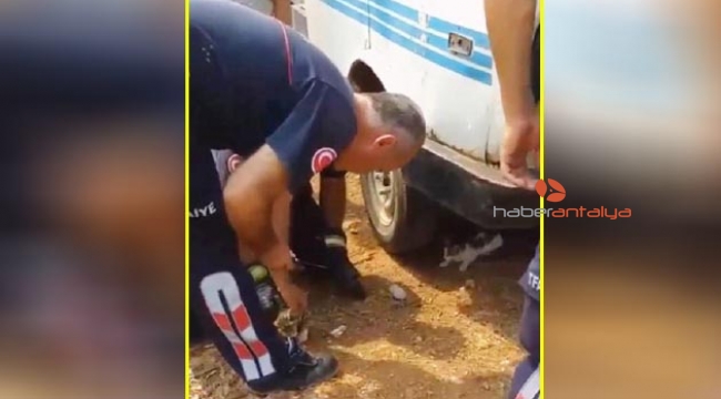 Yavru kediyi itfaiye kurtardı