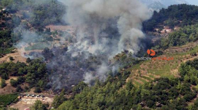 Antalya'da orman yangını
