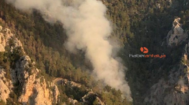 Antalya'daki orman yangınında 3 hektarlık alan zarar gördü  