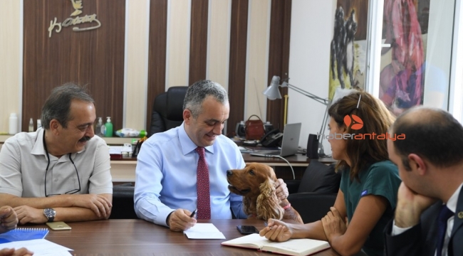 Başkan Esen, "Bu yıl 345 hayvanı kısırlaştırdık"
