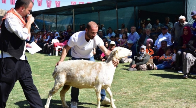 Elmalı Çoban Festivali renkli görüntülere sahne oldu