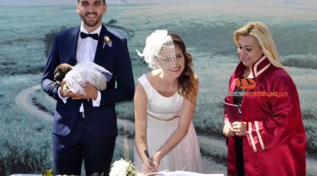 Hayvansever çift, barınakta evlendi