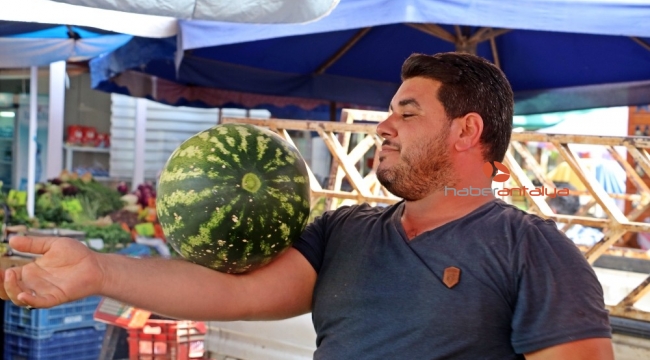 Karpuzların efendisi