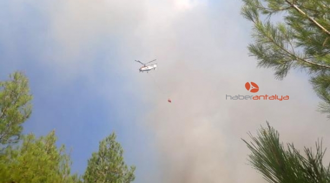 Kaş'taki orman yangını 6 saat sonra kısmen kontrol altında