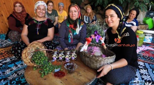 Kışın vazgeçilmez tatlısı: Çam kozalağı reçeli