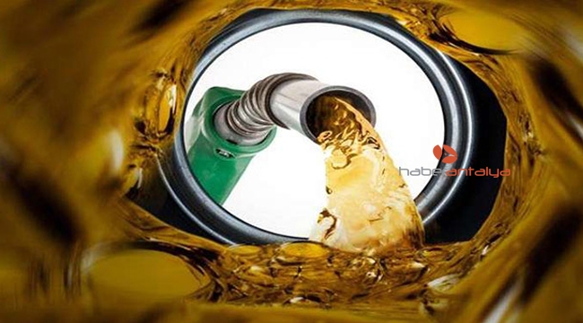 Motorine zam