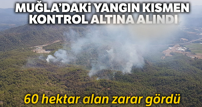Muğla'daki yangın kısmen kontrol altına alındı