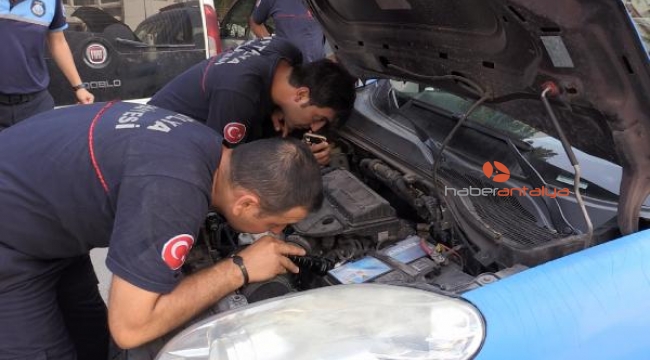 Zabıtanın aracına sıkışan kediyi itfaiye kurtardı