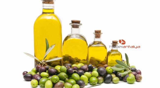 Antbirlik zeytinyağı sezonu açtı