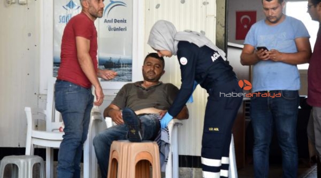 Balık ihalesinde kavga: 5 yaralı