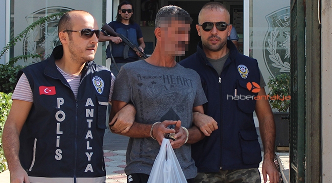  Çelik kasa faresi yakalandı